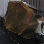 Simba_Stadthalle_Hungen 13